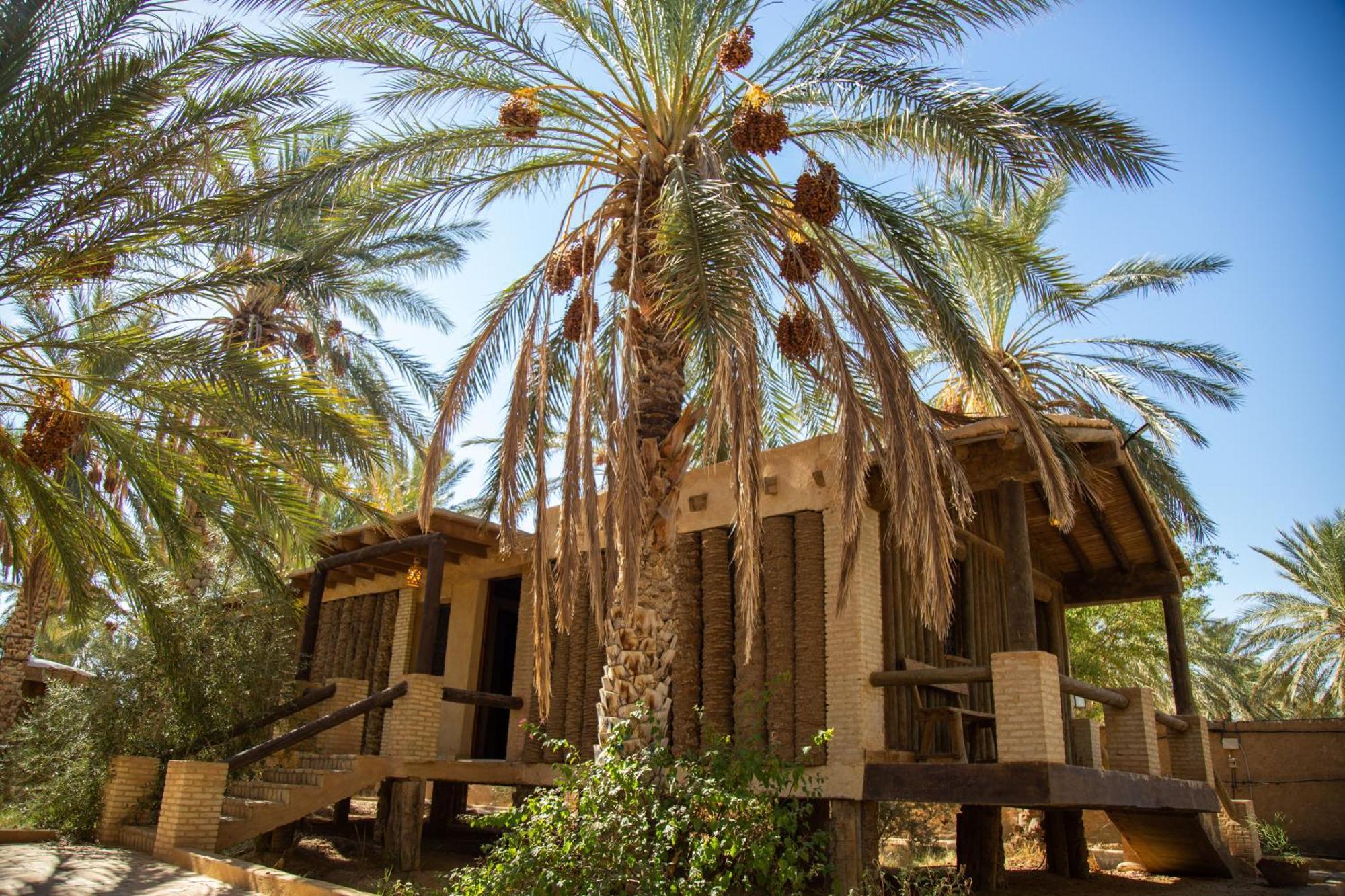 Dar Horchani Tozeur Exterior photo